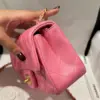 Chanel Classic Bell Bag Handbags Bink Lock Gold Smooth Leather 20 cm product view 4