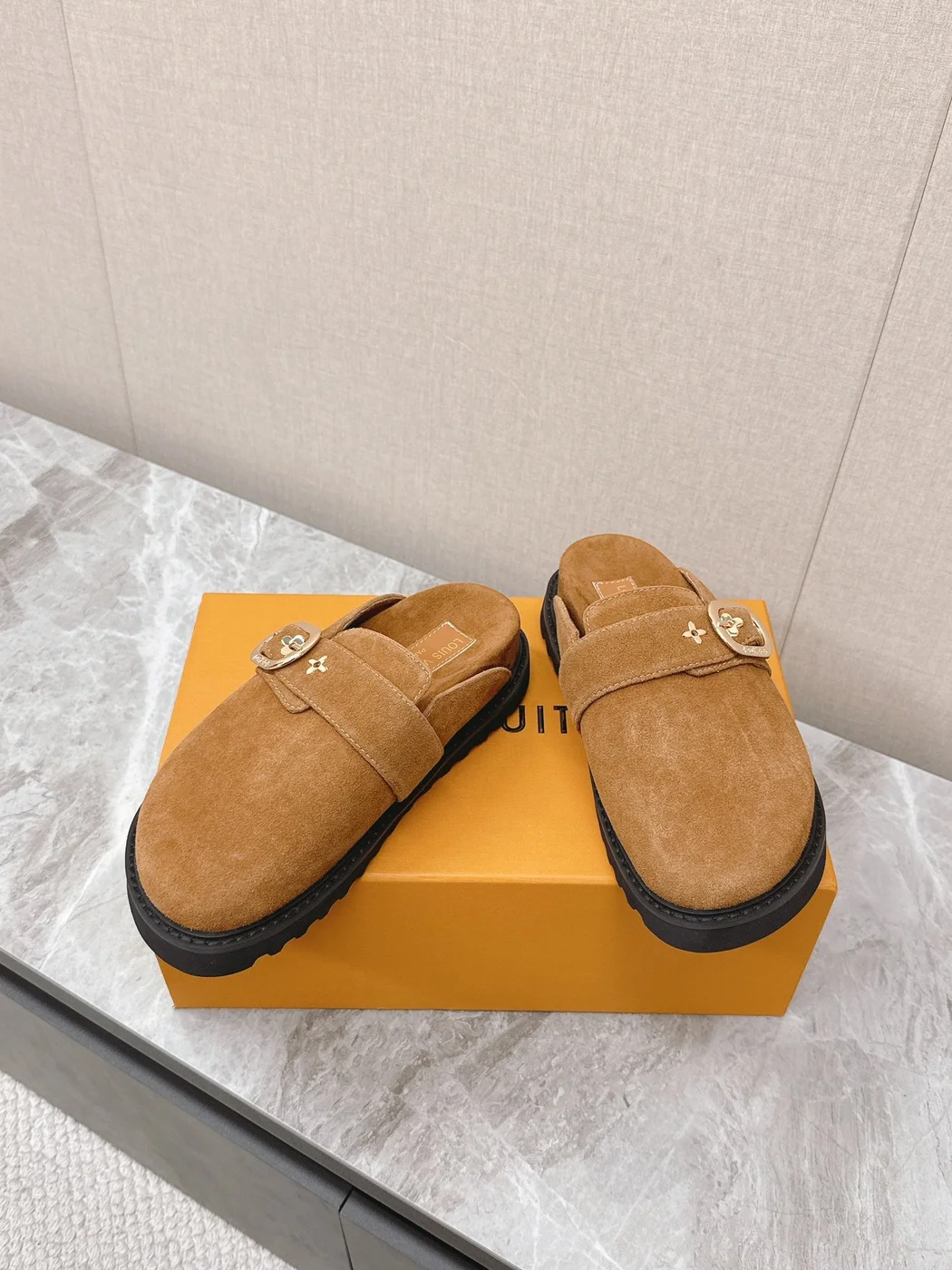 Louis Vuitton Women Brown Suede Mules product view 6