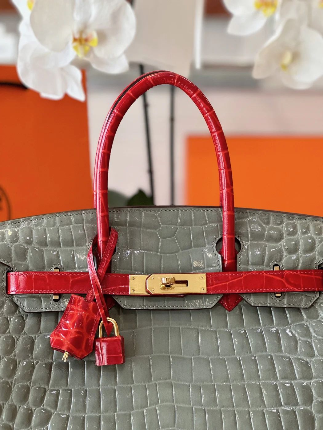 Hermès Birkin Crocodile Leather Gray and Red Custom Made Bag product view 6