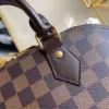 Louis Vuitton Damier Ebene Alma PM Caro Pattern Handbags 32mm product view 3