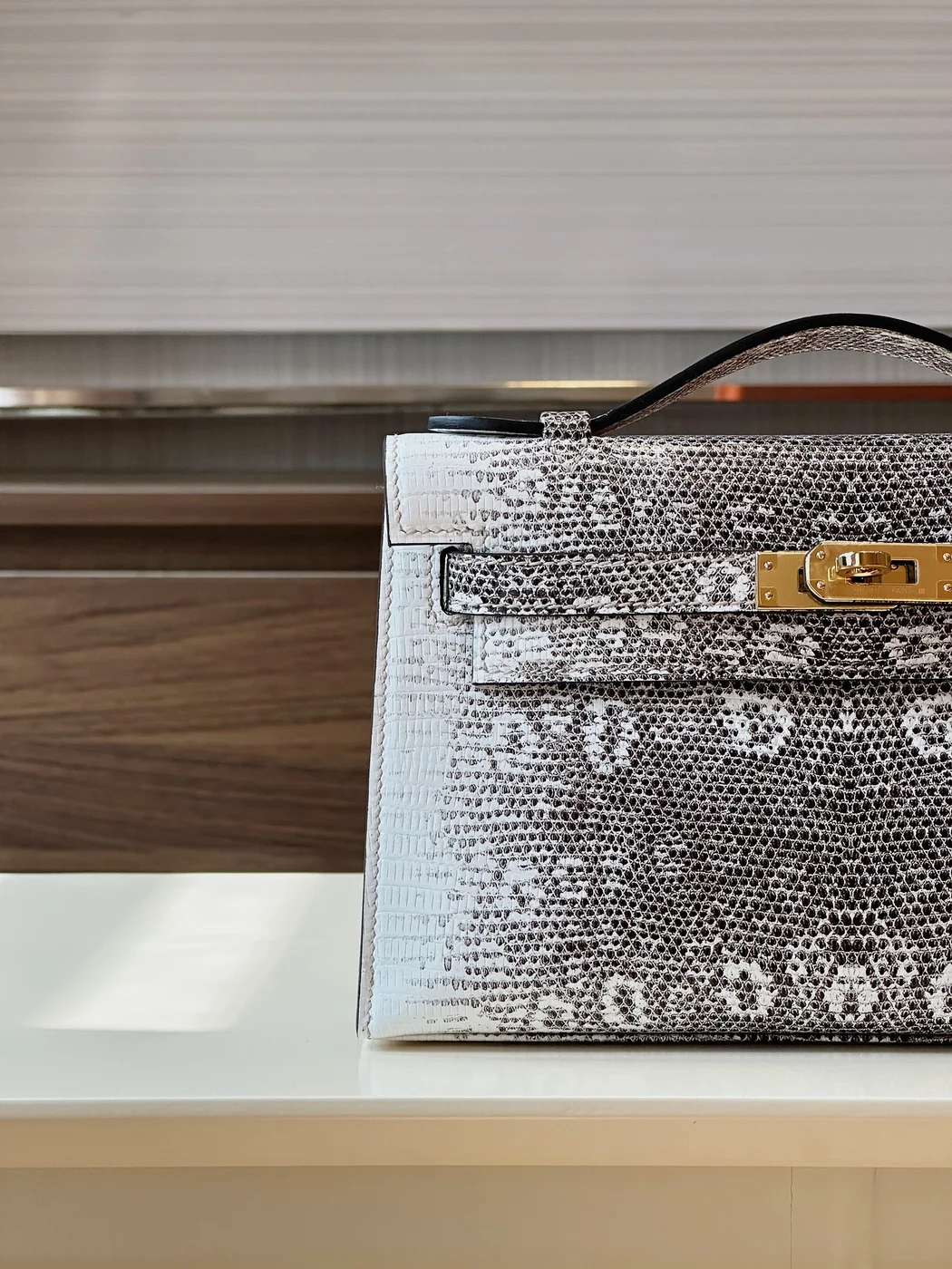 Hermès Constance Omber Lizard leather Gold Hardware Bag product view 5