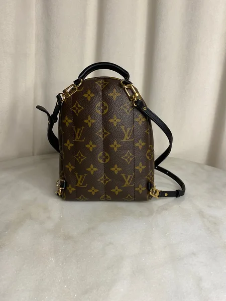 Louis Vuitton Palm Springs Mini backpack in monogram canvas product view 7