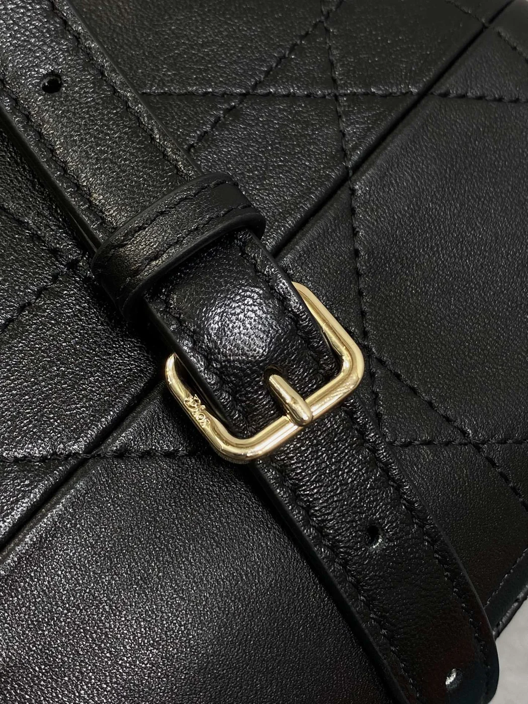 Dior Trianon bag in Black Gold Hardware product view 7