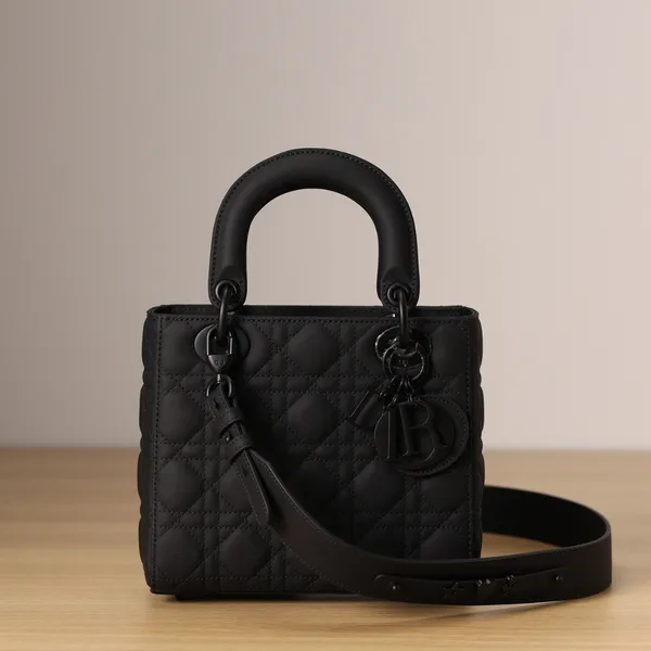 Dior Lady Matte Women’s Black Handbag 20 cm product view 1