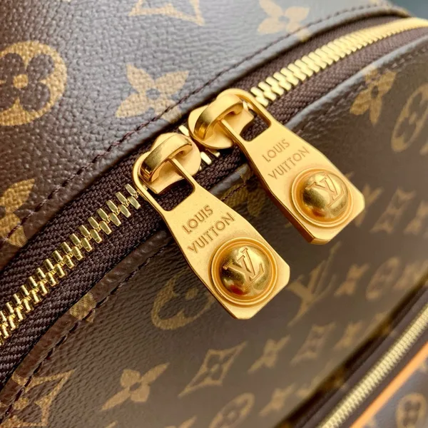Louis Vuitton Discovery Cargo Backpack in Monogram canvas product view 5