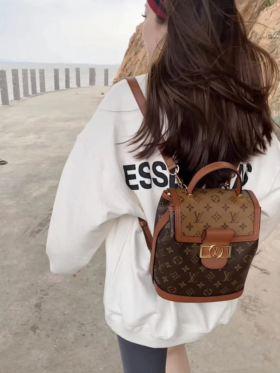 Louis Vuitton Dauphine Monogram Reverse PM backpack product view 5