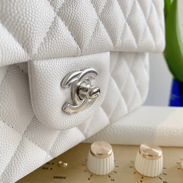 Chanel Classic Handbags Lizard Skin White With Silver Lock 25 cm product view 8