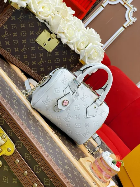 Louis Vuitton Speedy Bandoulière 20 handbag product view 5