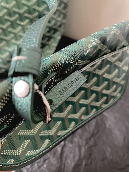 Goyard Saint Louis PM Bag 2024 Limited Edition product view 8