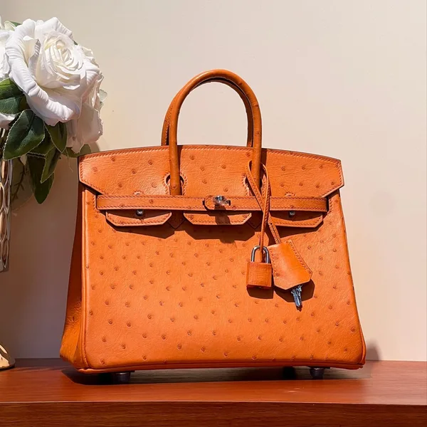 Hermès Birkin 25 Bag In Fire Orange Ostrich Leather With Silver Hardware product view 1