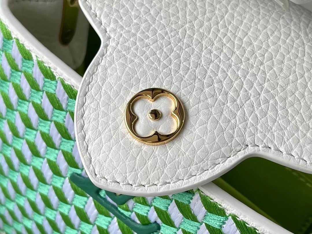 Louis Vuitton Capucines Green And White Pattern Handbags 21 cm product view 5
