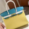 Hermès Lime, Bleu de Galice and Gris Perle Chèvre Tri-Color Hss Birkin 25 Brushed Gold Hardware Bag product view 5
