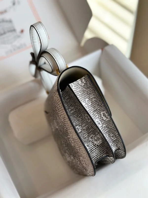 Hermès Constance 19 Omber Lizard Leather Palladium Hardware Bag product view 7