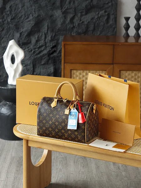 Louis Vuitton Speedy 30 Crafty Bag product view 1