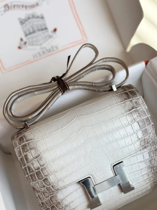 Hermès Constance 19 Himalaya Crocodile Leather Palladium Hardware Bag product view 8