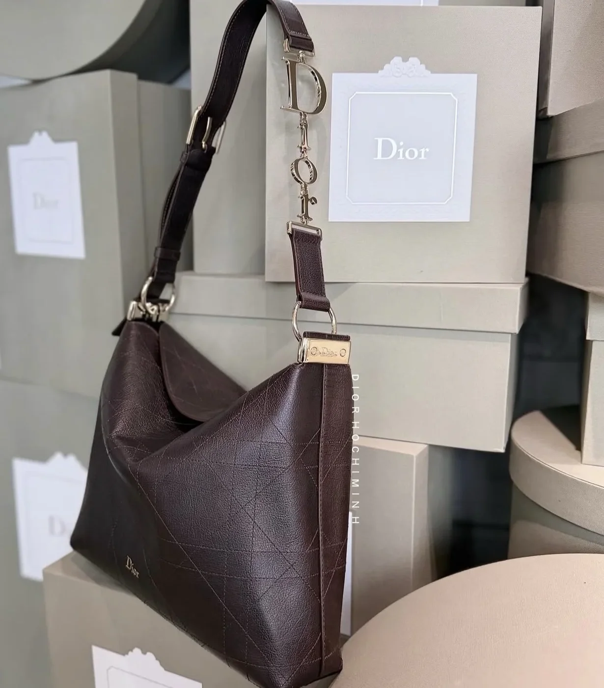 Diorly Bag in Brown product view 5