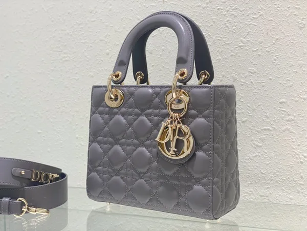 Dior Lady Abc Gray Handbag 20 cm product view 2