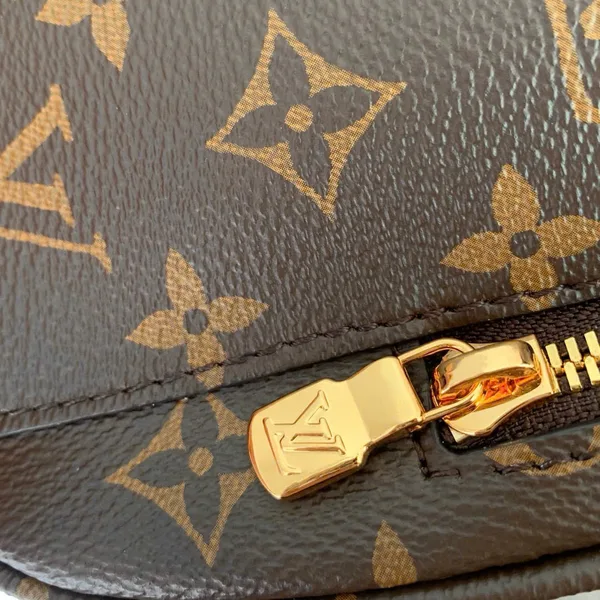 Louis Vuitton Montsouris M11197 Backpack MM Size product view 4