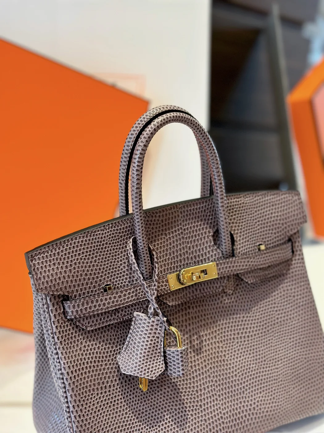 Hermès Birkin 25 Tris Fonce Lizard Leather Gold Hardware Bag product view 2