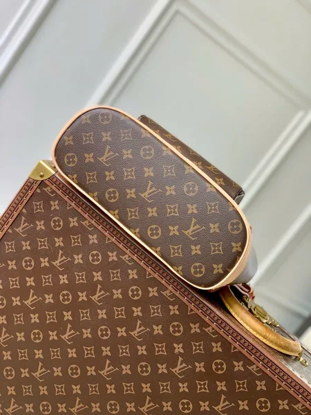Louis Vuitton Montsouris M11197 Backpack MM Size product view 5