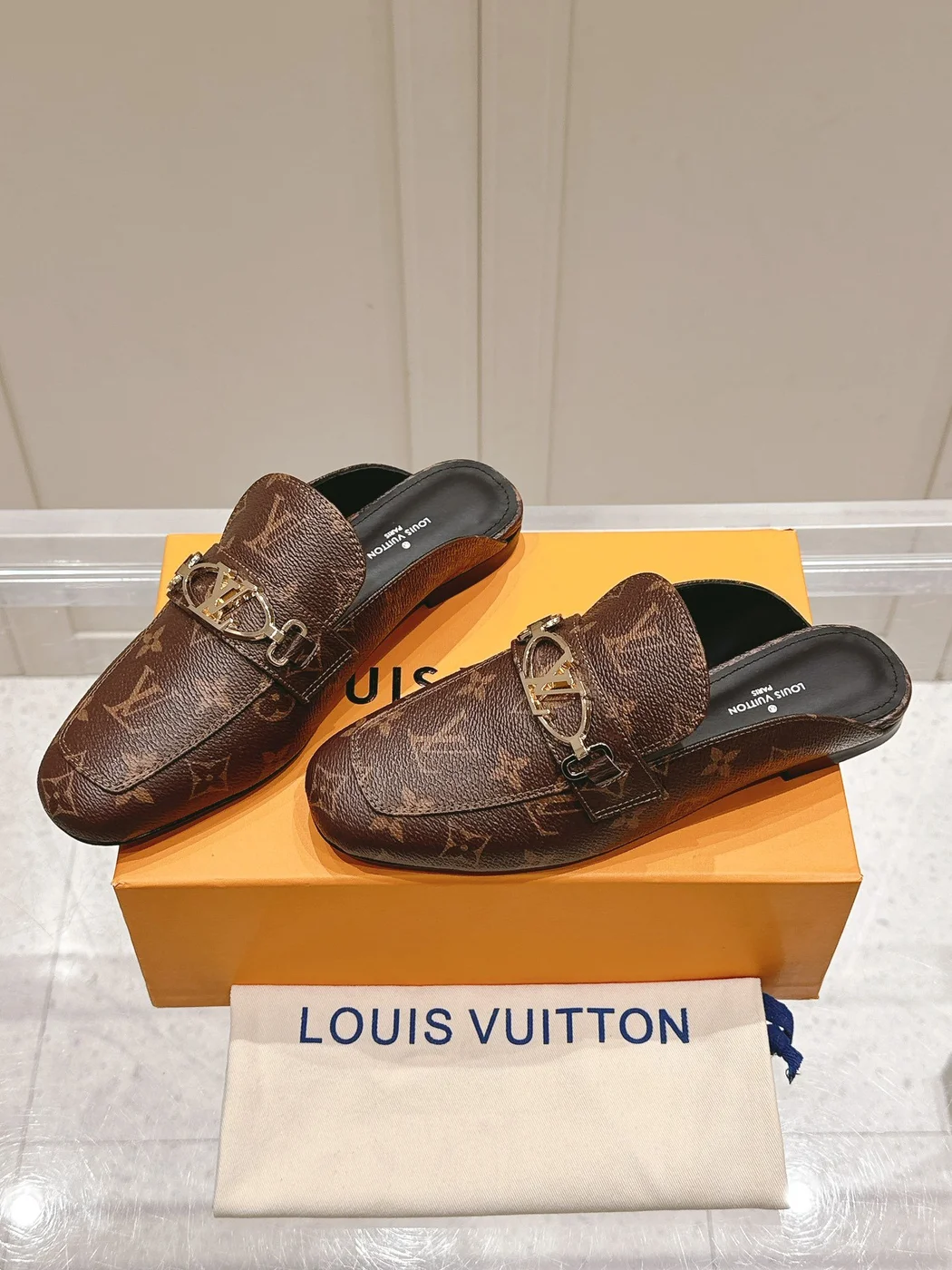 Louis Vuitton Women Brown Leather Mules product view 4