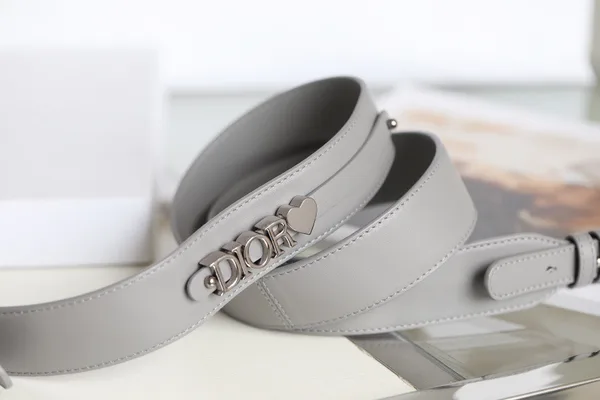 Dior My Lady High- Women’s Handbag Gray Glossy Leather 20x16cm product view 8