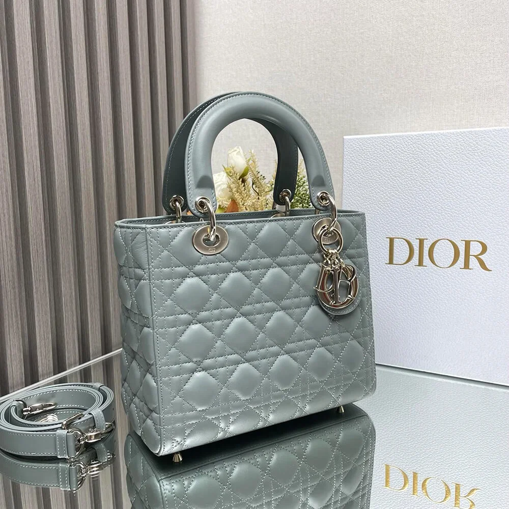 Dior Medium Lady Dior Bag product view 2
