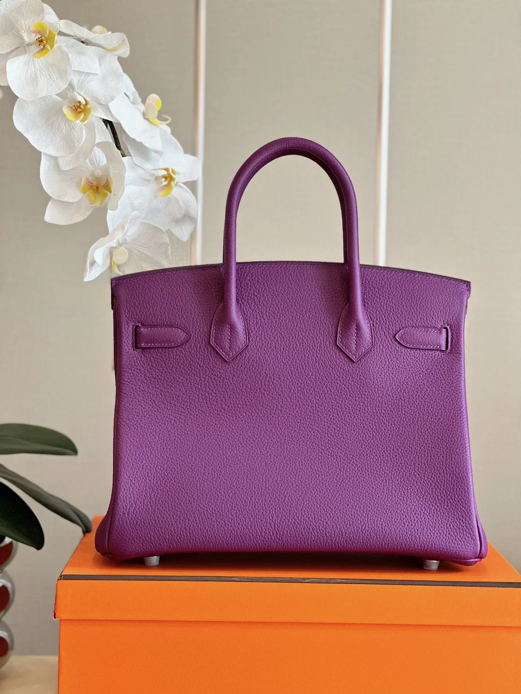Hermès Birkin 30 Purple Palladium Hardware Bag product view 4
