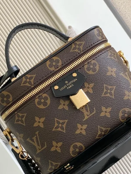 Louis Vuitton Vanity Chain Pouch product view 5
