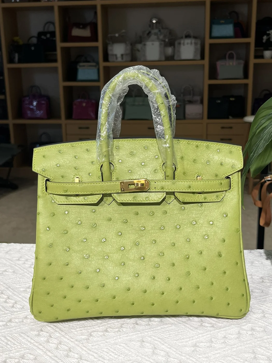 Hermès Birkin 25 cm Ostrich Leather Gold Hardware Bag product view 1