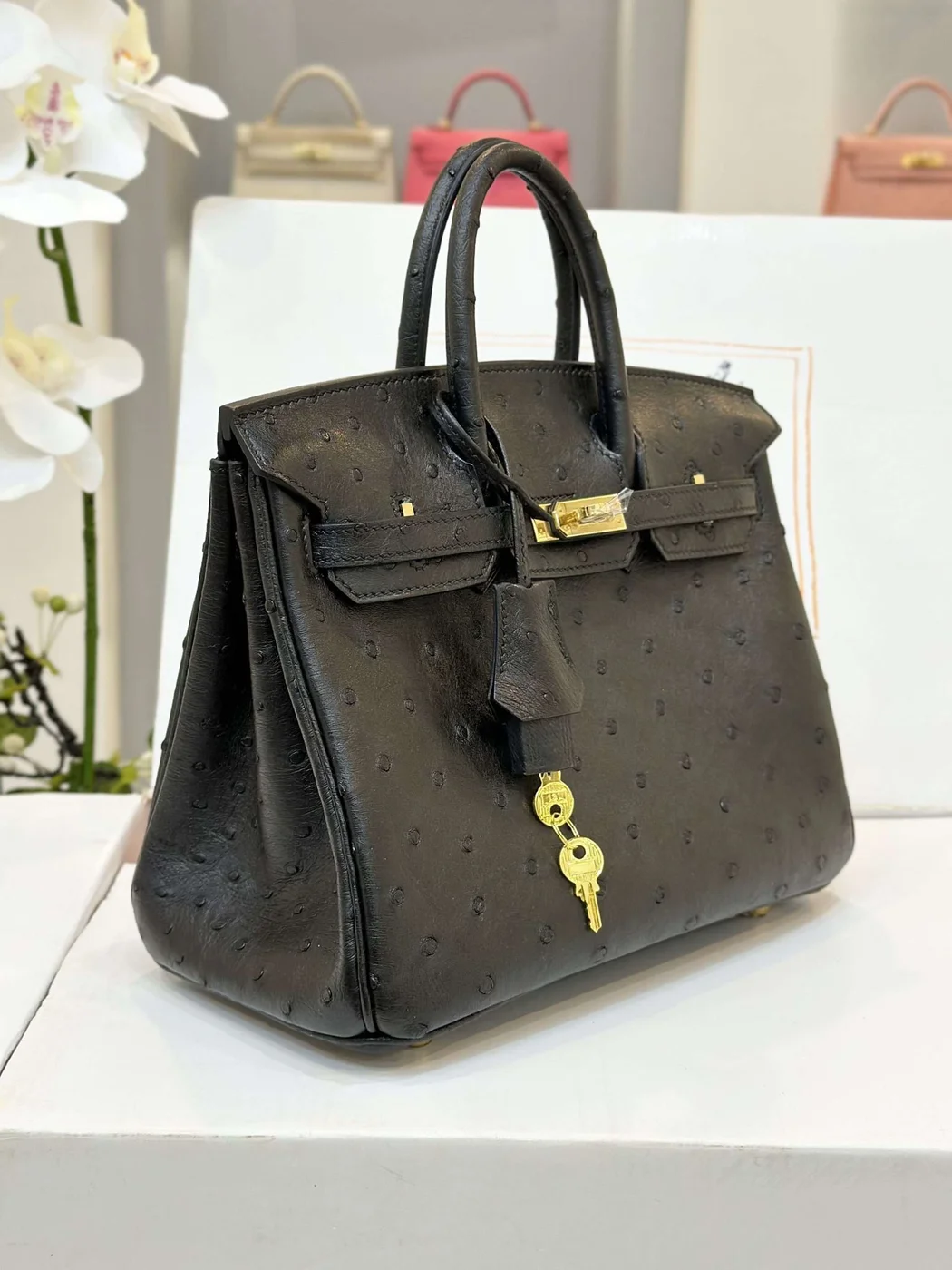 Hermès Birkin 25 Black Ostrich Leather Gold Hardware Bag product view 2