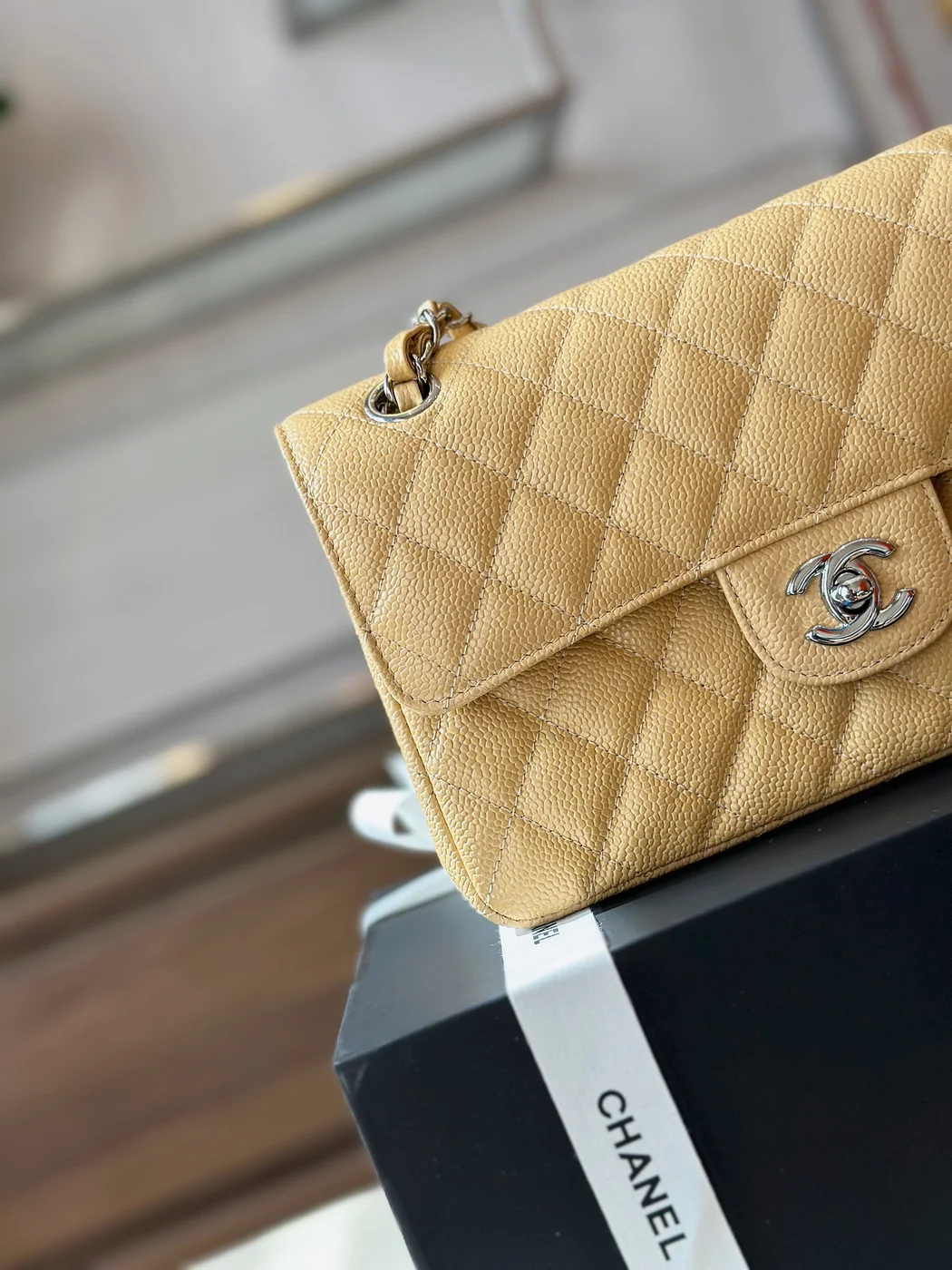 Chanel Classic Handbags Beige Leather With Lizard Skin 23 cm product view 7