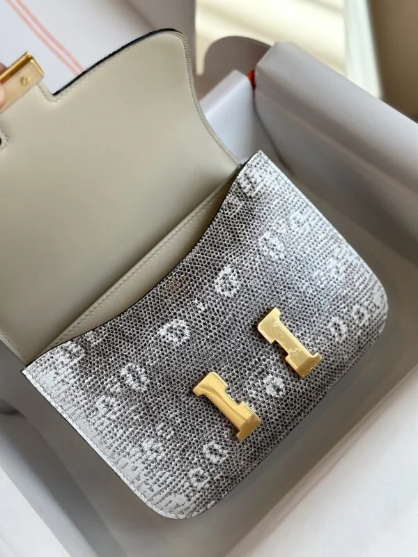 Hermès Constance 19 Omber Lizard Leather Palladium Hardware Bag product view 8