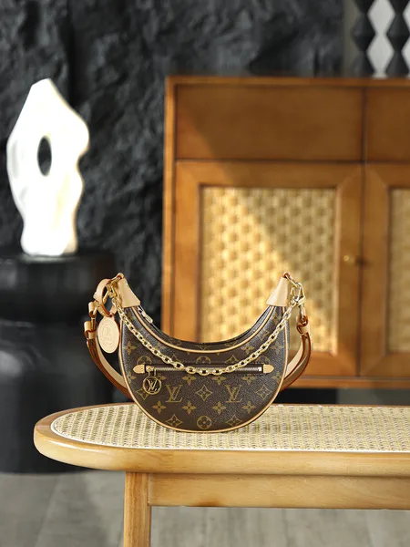 Louis Vuitton Loop bag in Monogram canvas product photo