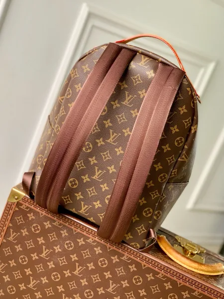 Louis Vuitton Discovery Cargo Backpack in Monogram canvas product view 4