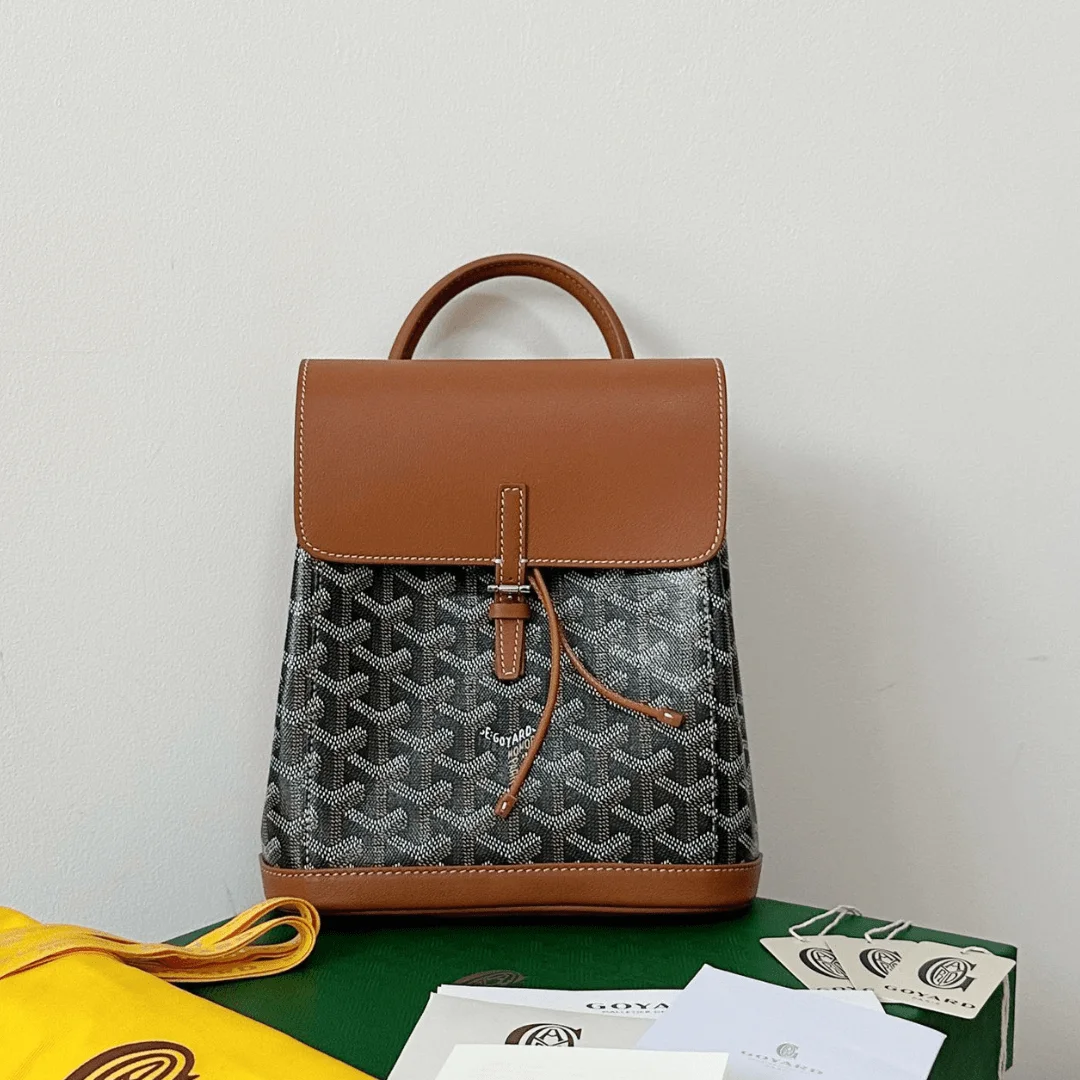 Goyard Mini Backpack Brown Monogram Pattern Size 23x19cm product view 1