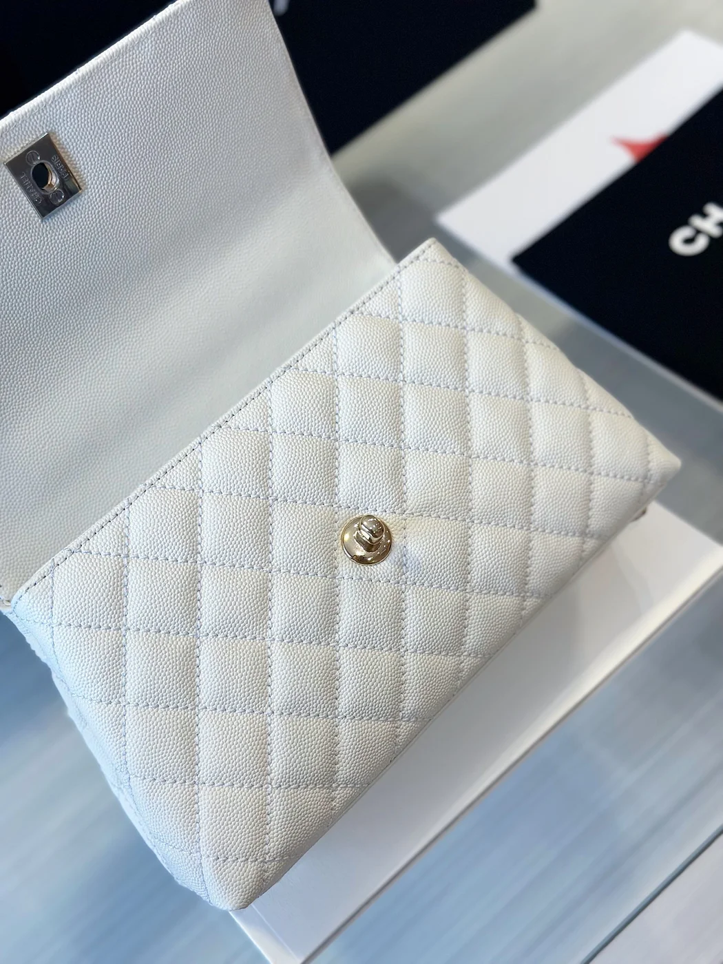 Chanel Coco Handbag Lizard Skin White With Lock Gold 23 cm product view 5