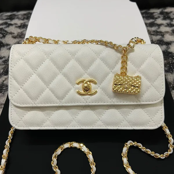 Chanel Woc Charm Handbags White Lizard Skin With Lock Pattern Bag 20 cm product view 1