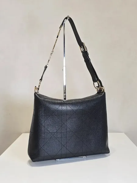 Diorly Bag product view 2