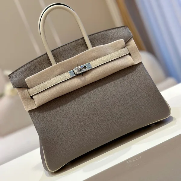 Hermès Birkin 25 Gray/Beige Customize Palladium Hardware Bag product view 1