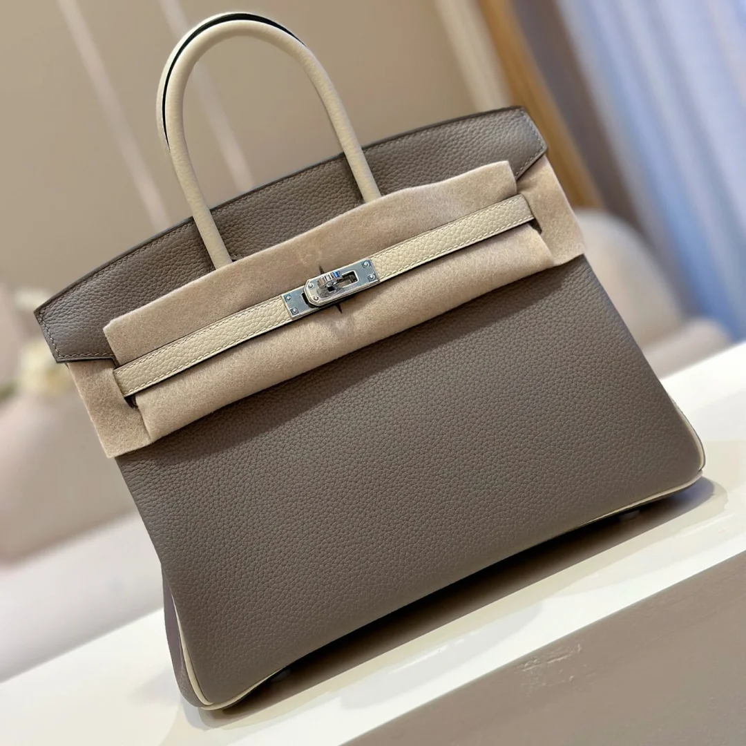 Hermès Birkin 25 Gray/Beige Customize Palladium Hardware Bag product view 1