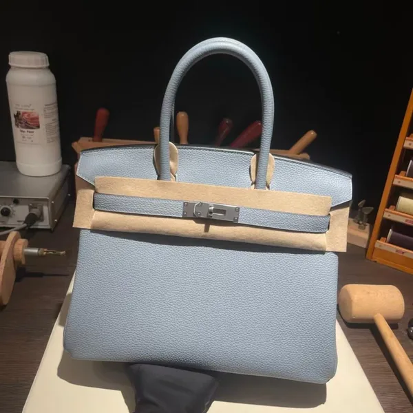Hermès 25 Cloud Blue* Togo Leather *Silver* Hardware Bag product view 2