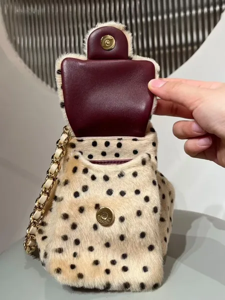 Chanel 25 Mini Cheetah Print Pony Hair Métiers d’art Collection Bag product view 9