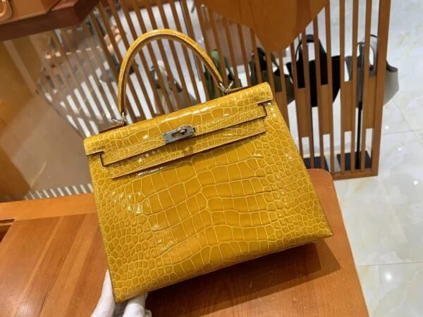 Hermès Kelly bag 25 Sellier Jaune ambre Alligator Crocodile skin Gold hardware product view 2