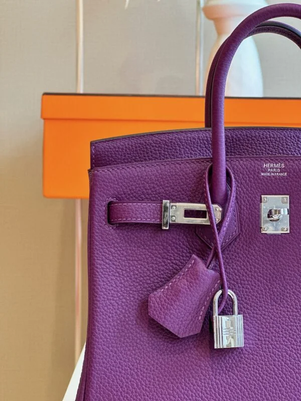 Hermès Birkin 25 Dark Purple Togo Leather Palladium Hardware Bag product view 5