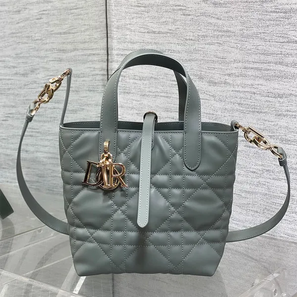 Dior Small  Toujours Vertical Tote Bag product view 5