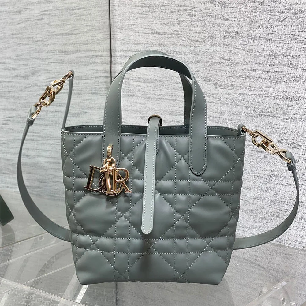 Dior Small  Toujours Vertical Tote Bag product view 5