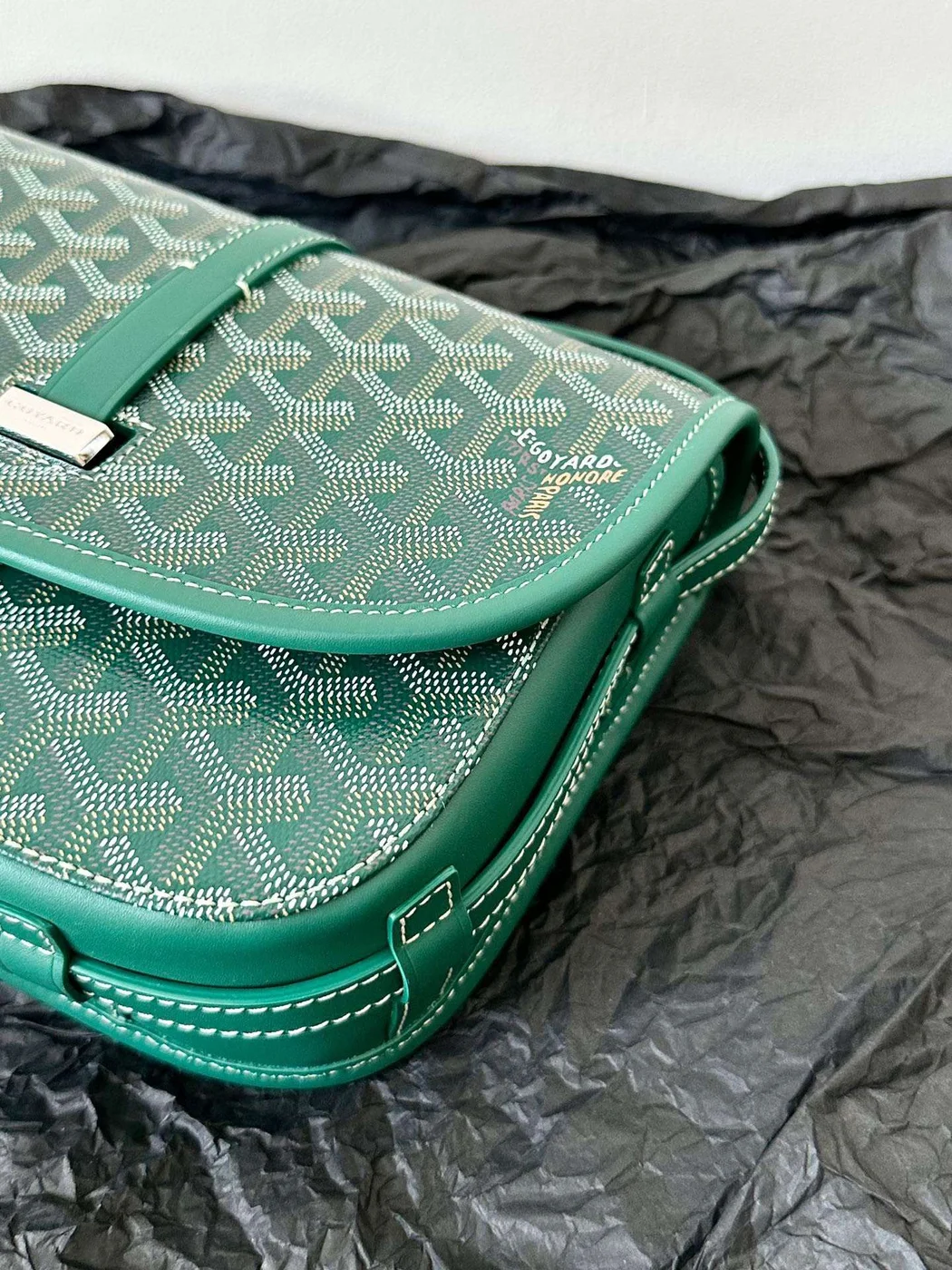 Goyard Green Handbag With Pattern 22x16x7cm product view 5