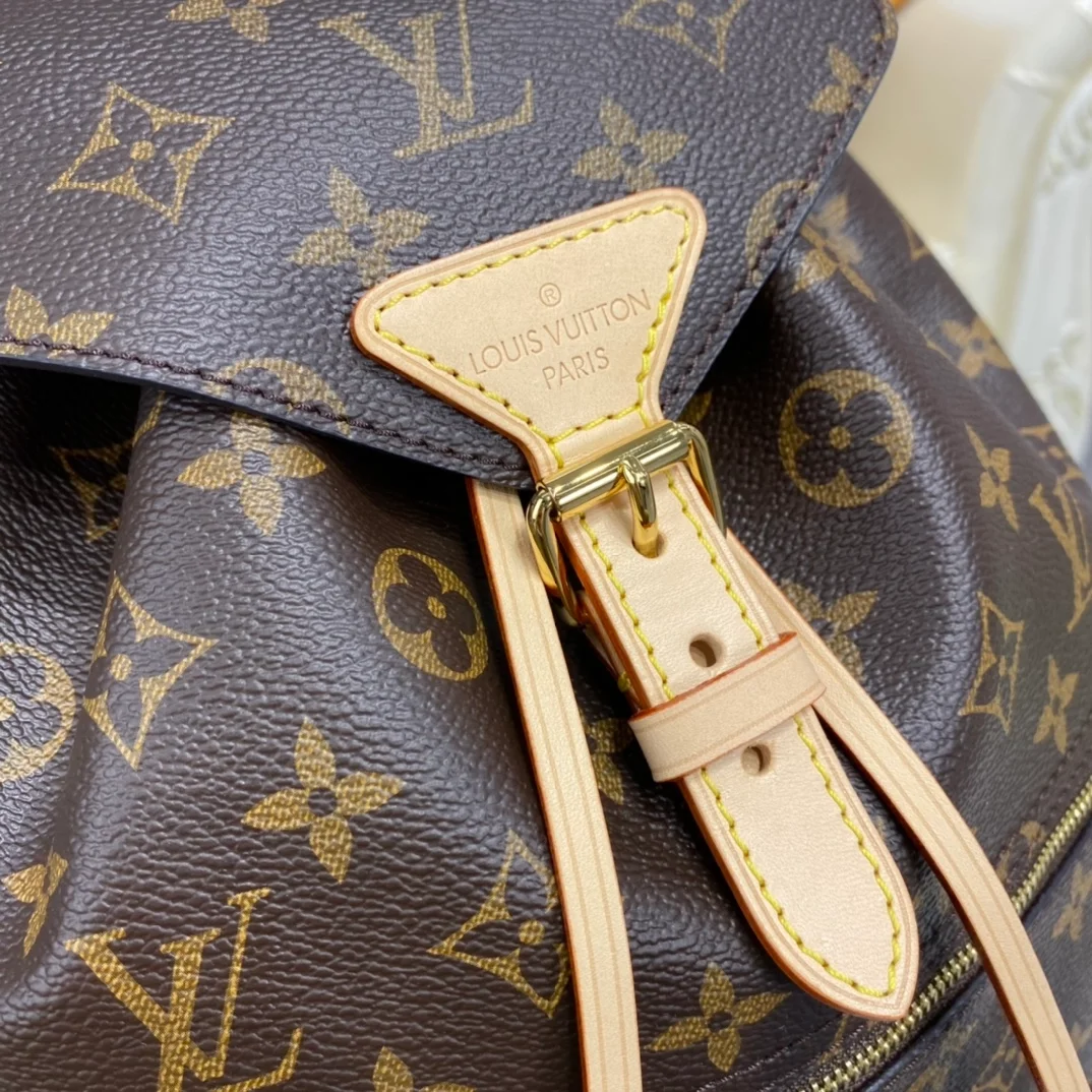 Louis Vuitton Montsouris PM backpack product view 3