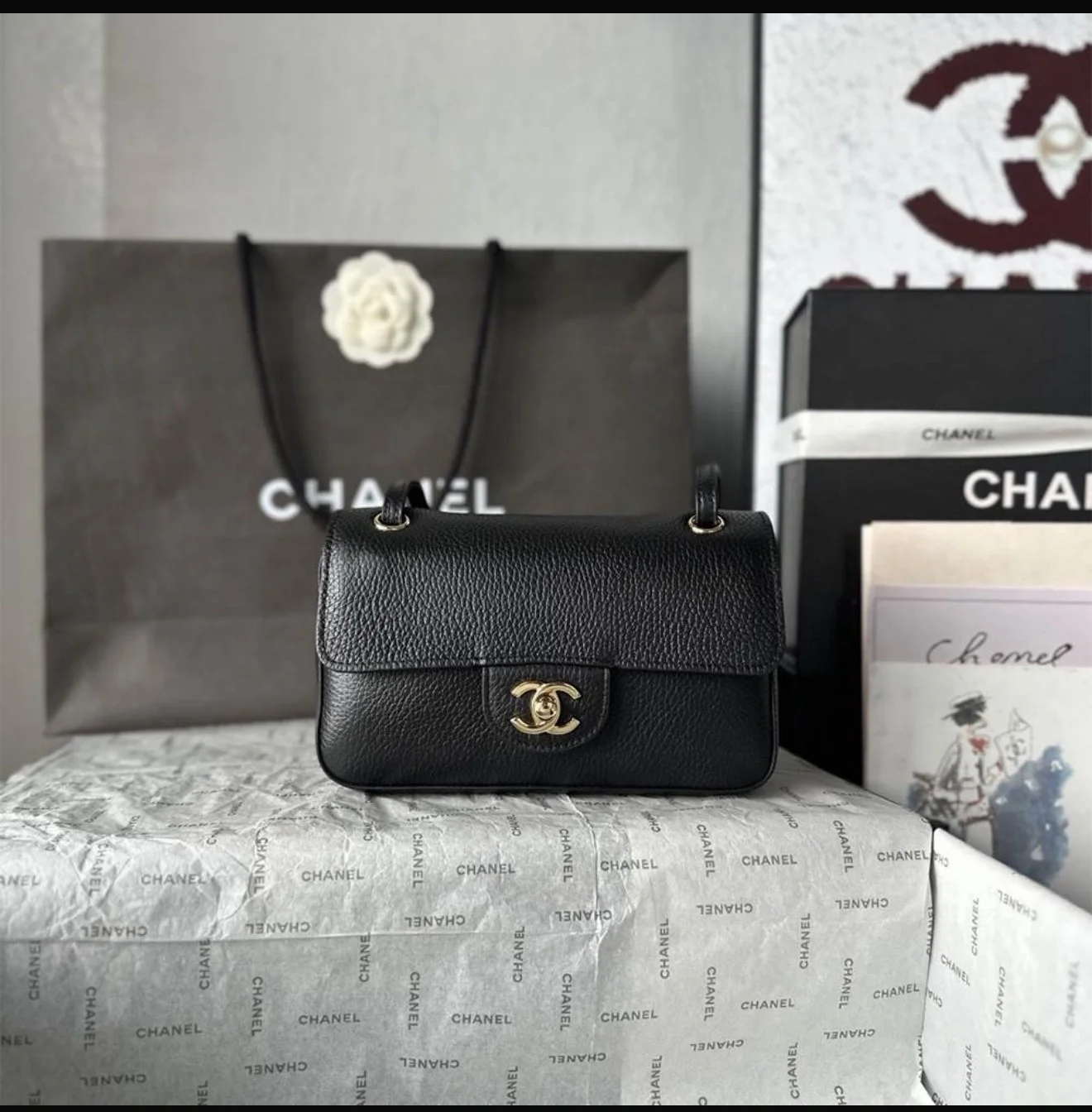 Chanel Bag product view 1